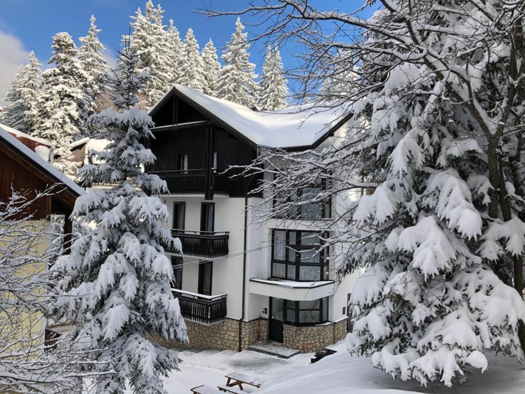 Montana Residence 波亚纳布拉索夫 外观 照片