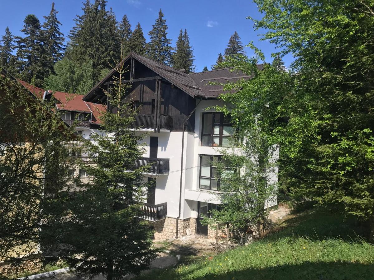 Montana Residence 波亚纳布拉索夫 外观 照片